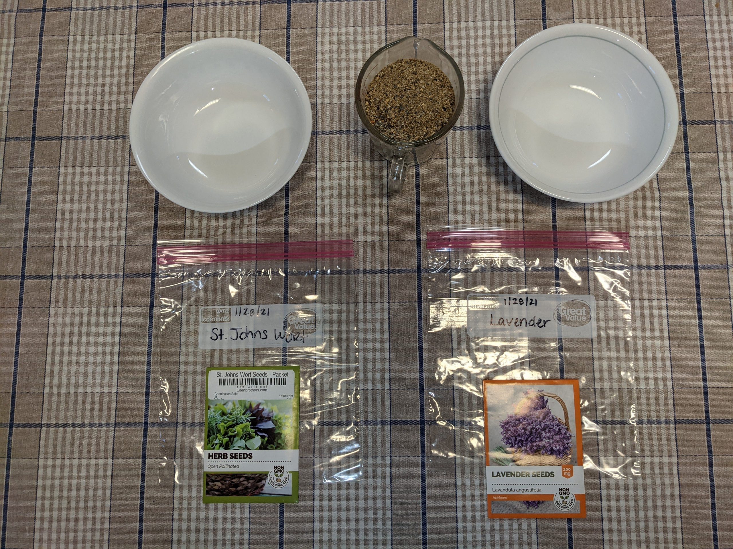 Cold stratification process 1.28.21