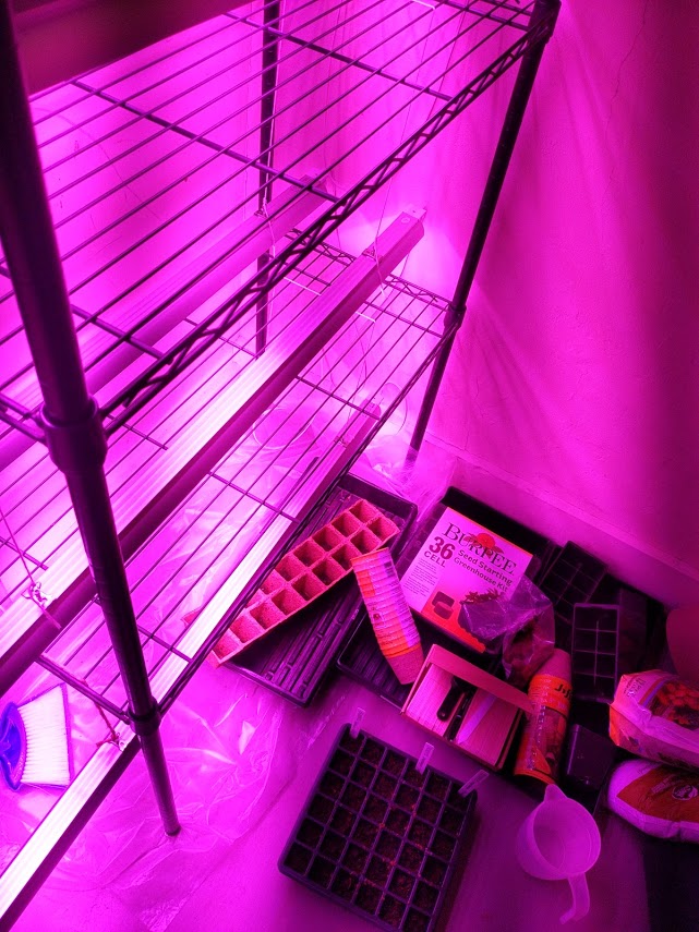 grow light set up