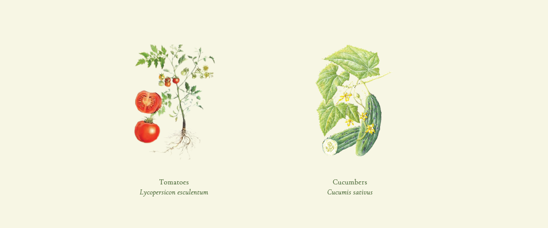 Later-Introduced Crops